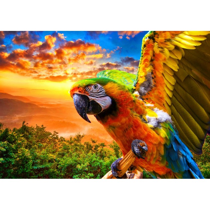Puzzle Parrot