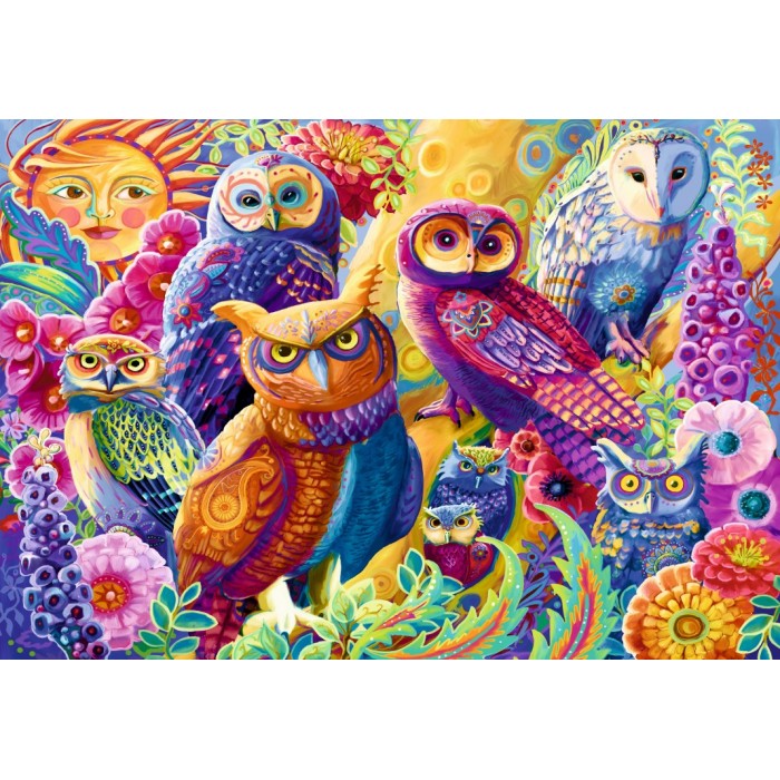 Puzzle Owl Autonomy