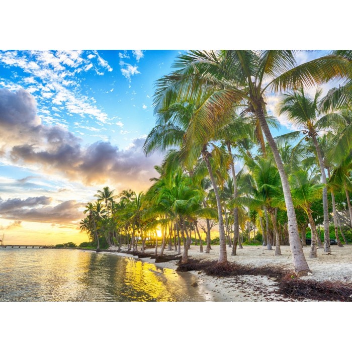 Puzzle Guadeloupe - Anse Champagne