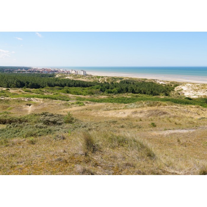 Puzzle Dunes d'Hardelot, Côte d'Opale, France