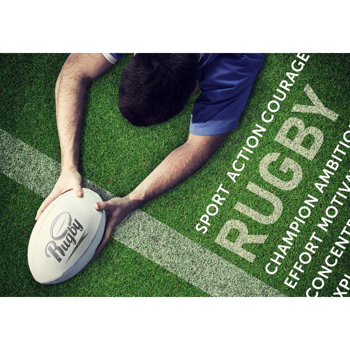 Puzzle Rugby Touch