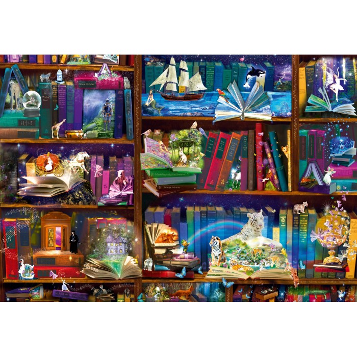 Puzzle Library Adventures in Reading