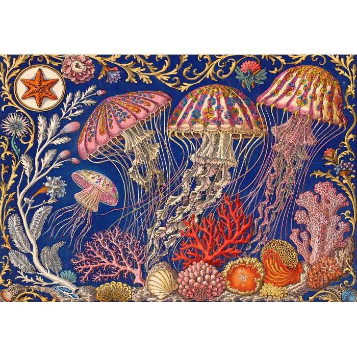 Puzzle Balet meduza