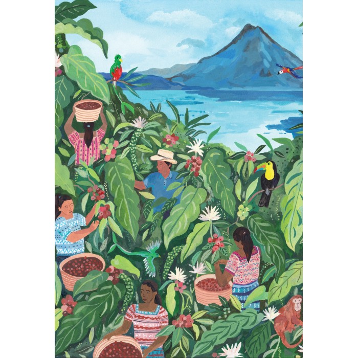Puzzle Guatemala