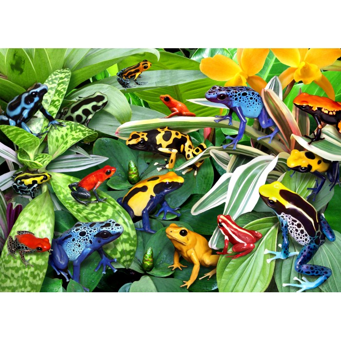Puzzle Fun Frogs
