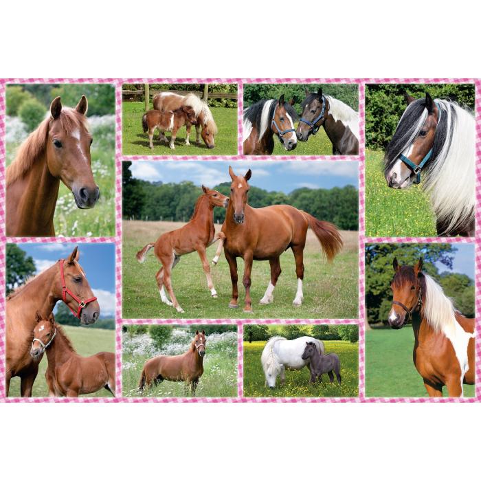 Puzzle Konjski snovi