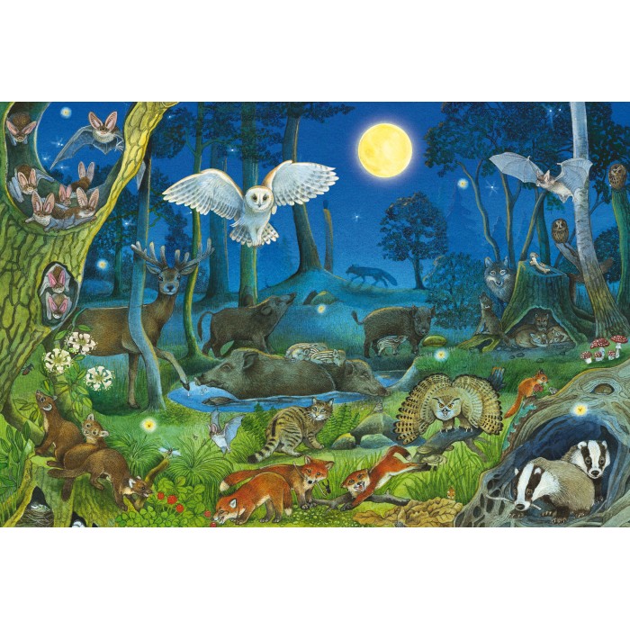 Puzzle Životinje noću u šumi