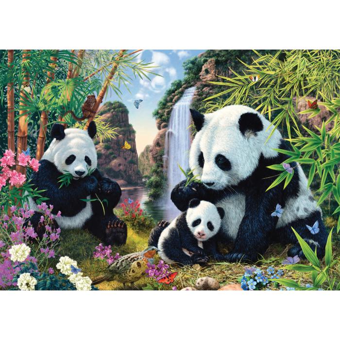 Puzzle Porodica pande kod vodopada