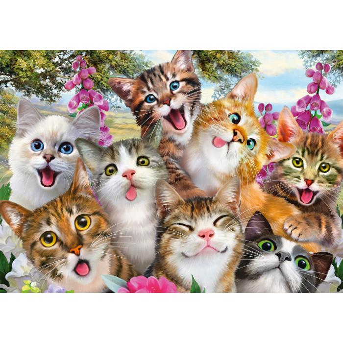 Puzzle Cats' Selfy