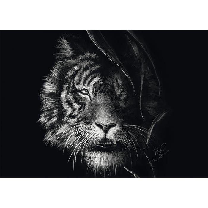 Puzzle Wild - Tiger: U znaku slobode