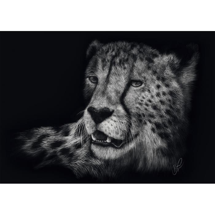 Puzzle Brzina - Gepard: U znaku gracioznosti