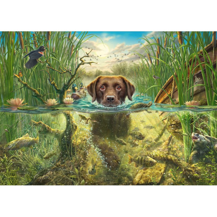 Puzzle Ljubav prema psima - Smeđi labrador u hladnoj vodi