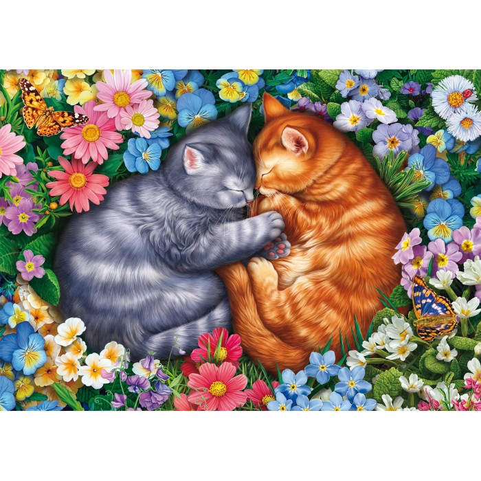 Puzzle Usnule baršunaste šape