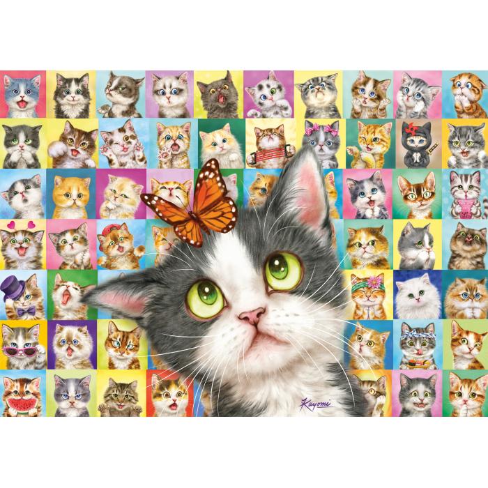 Puzzle Mimika mačaka