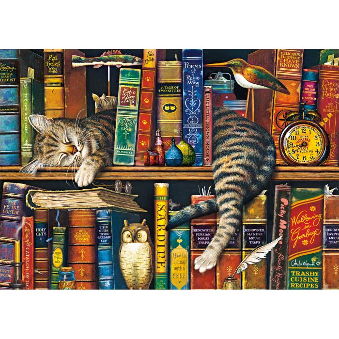 Puzzle Frederick, književnik