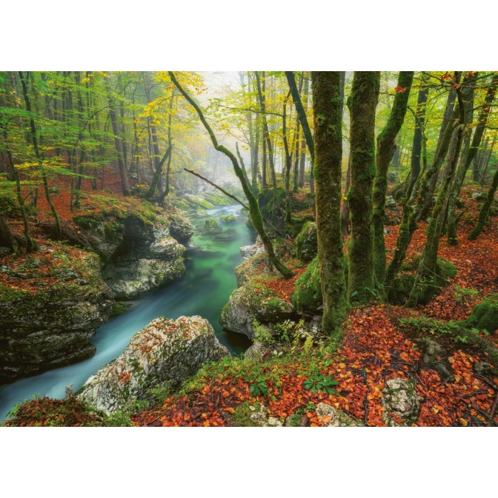 Puzzle Magic Forests - Little Brook
