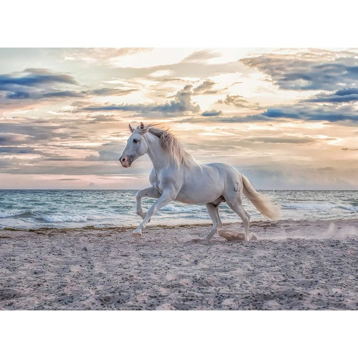 Puzzle Horse on the Beach