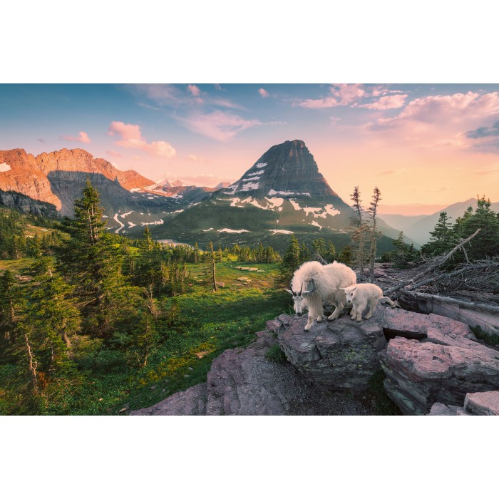 Puzzle Alpski jarac s bebom