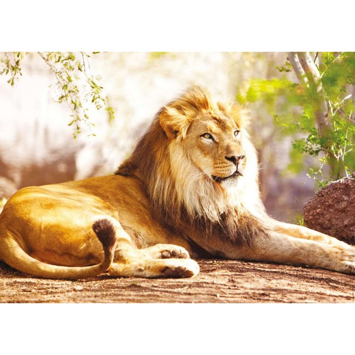 Puzzle The King of the Savannah