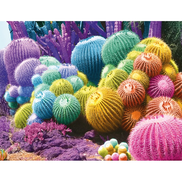 Puzzle Duga od kaktusa