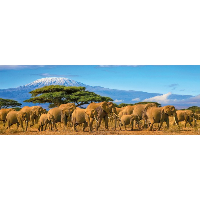 Panorama puzzle - Krdo slonova