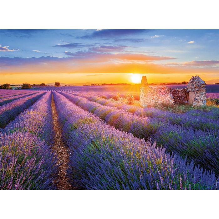 Puzzle Francuske regije - Lavanda, Valensole