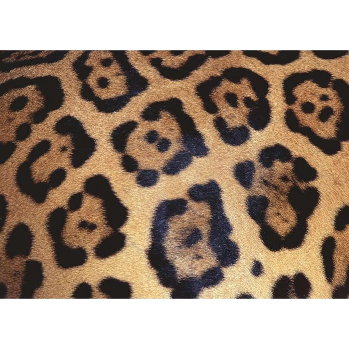 Puzzle Jaguar