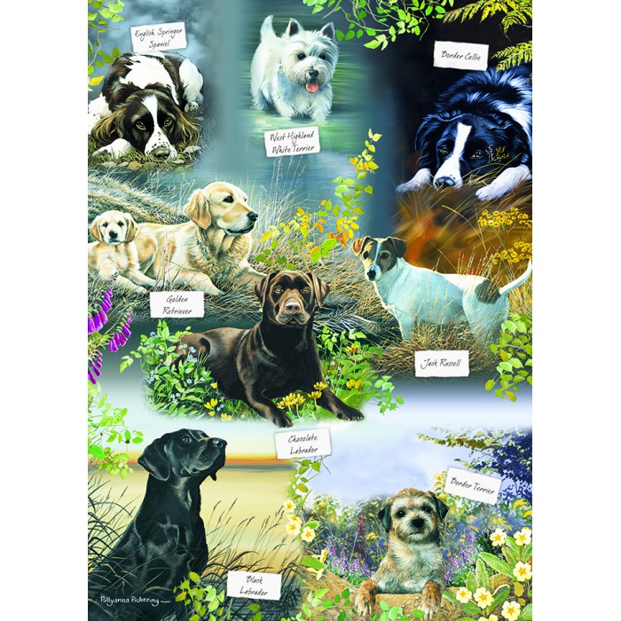 Puzzle Man's Best Friend