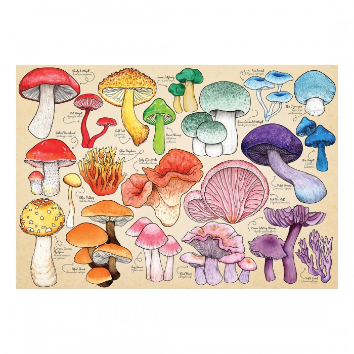 Puzzle Gljivomanija