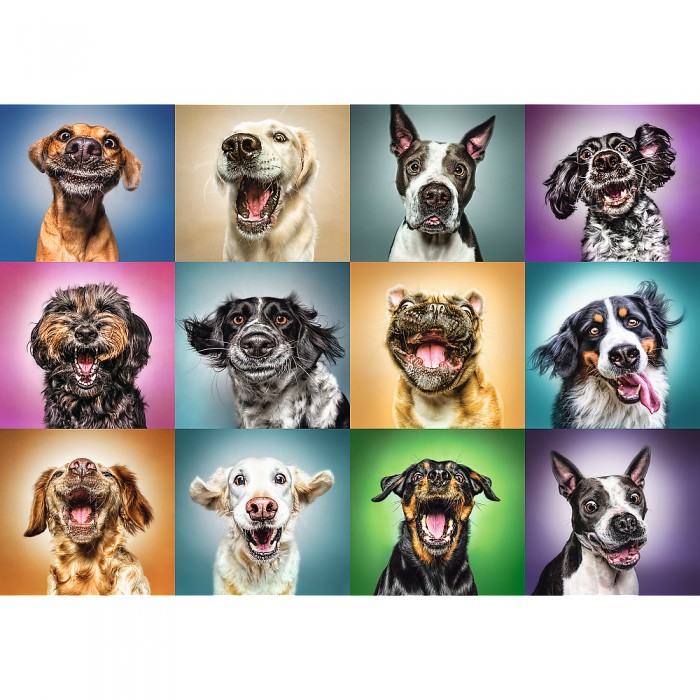 Puzzle Funny Dog Portraits