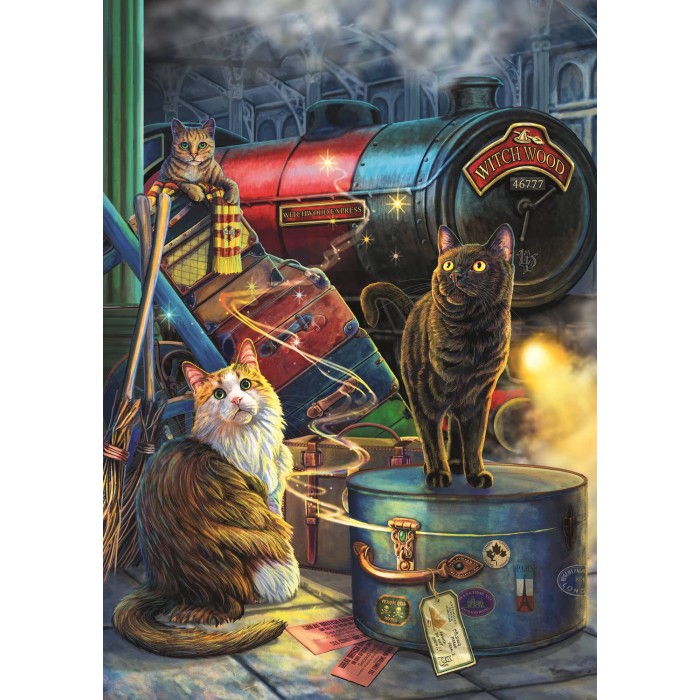 Puzzle Magic Collection: Witchwood Express