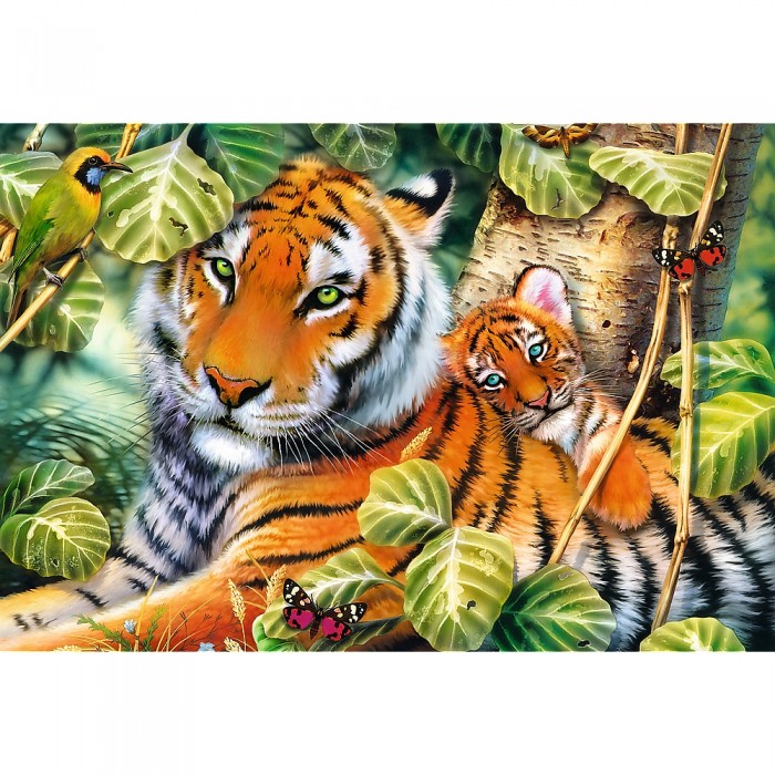 Puzzle Dva tigra