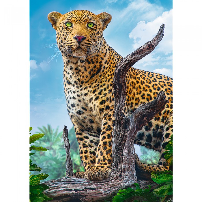 Puzzle Leopard