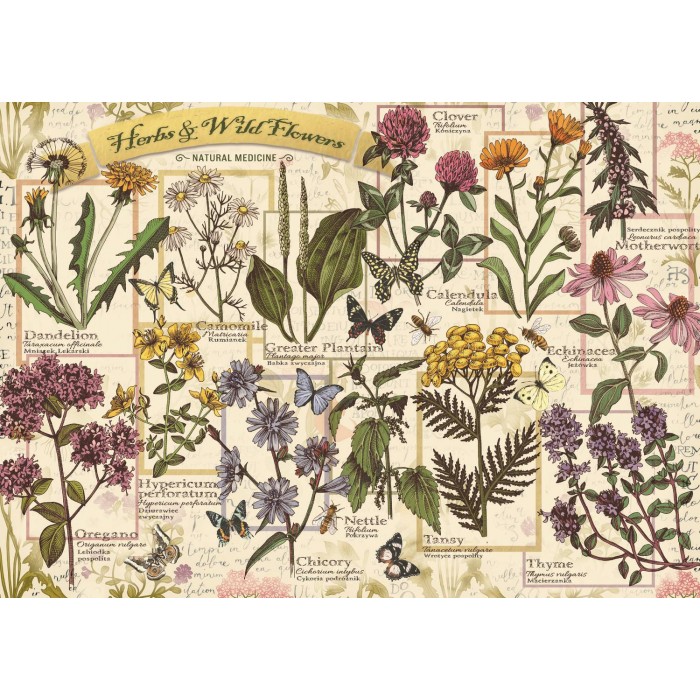 Puzzle Herbarium: Medicinal Herbs