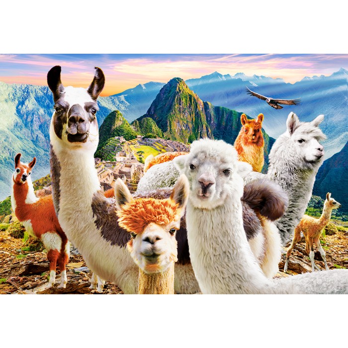 Puzzle Selfie lama
