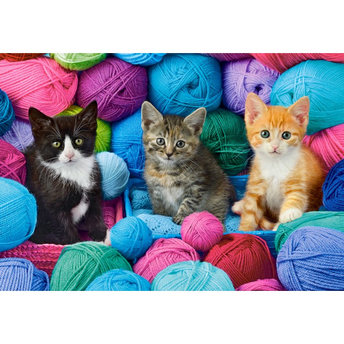 Puzzle Kittens in a Yarn Store