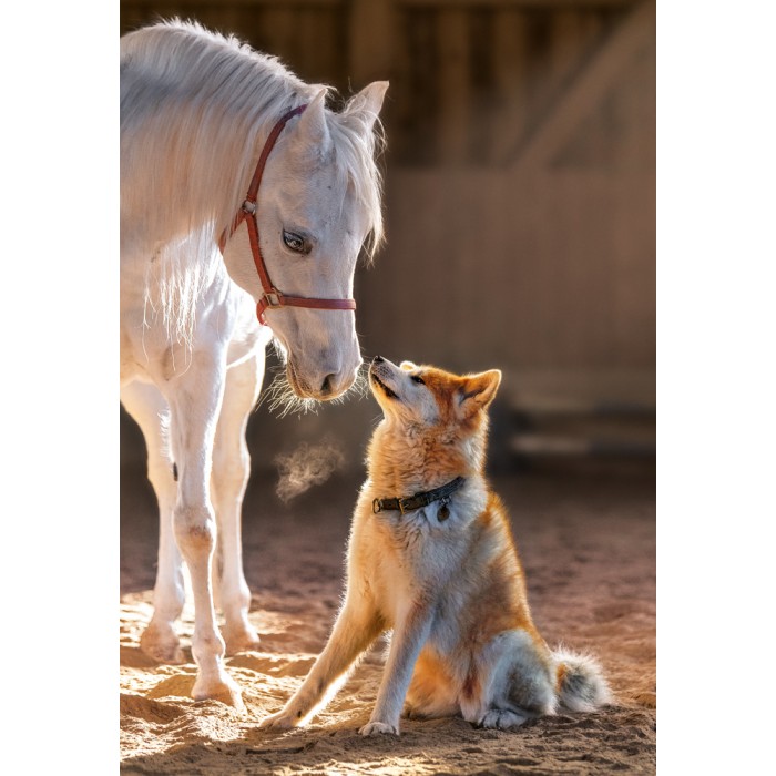 Puzzle Unique Friendship