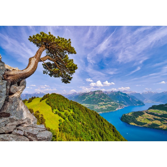 Puzzle Pogled na Urnersee, Švicarska