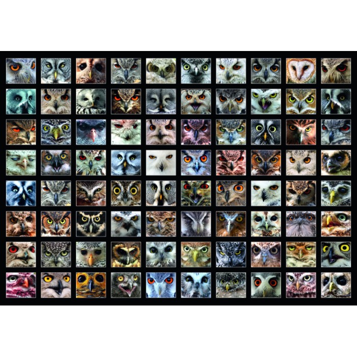 Puzzle Kolaž - Sove