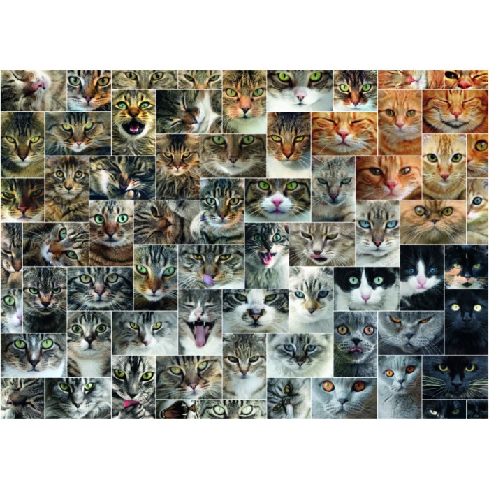 Puzzle Kolaž - Mačke