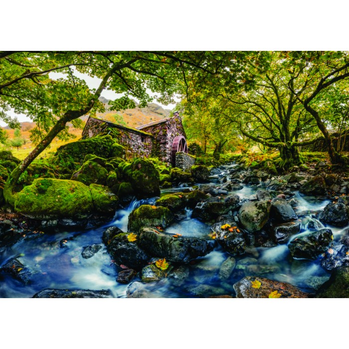 Puzzle Watermill