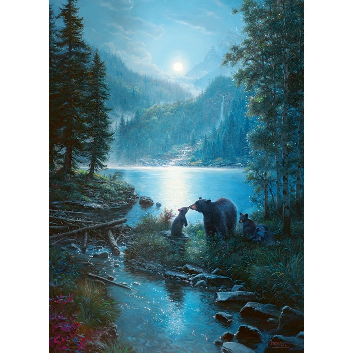 Puzzle Bear Night