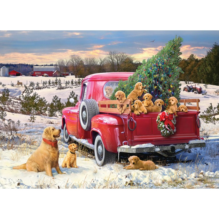 Puzzle Family Outing