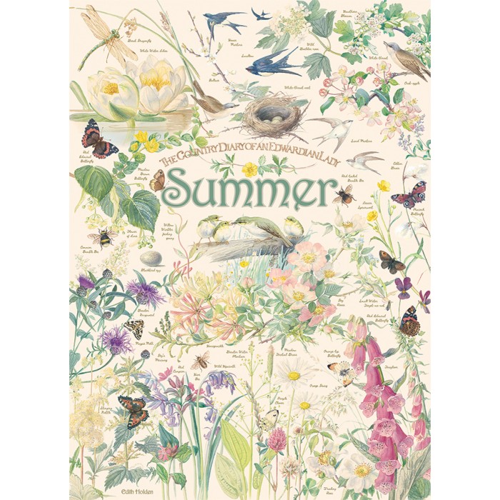 Puzzle Country Diary: Summer