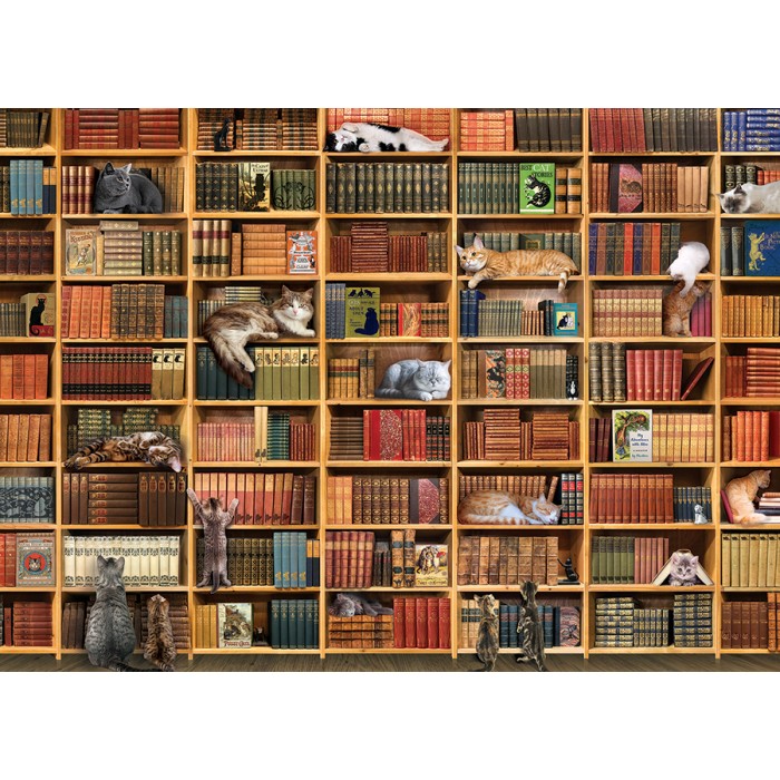 Puzzle The Cat Library