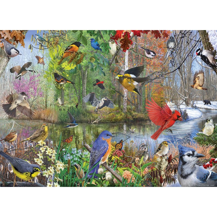 Puzzle Birds of the Season