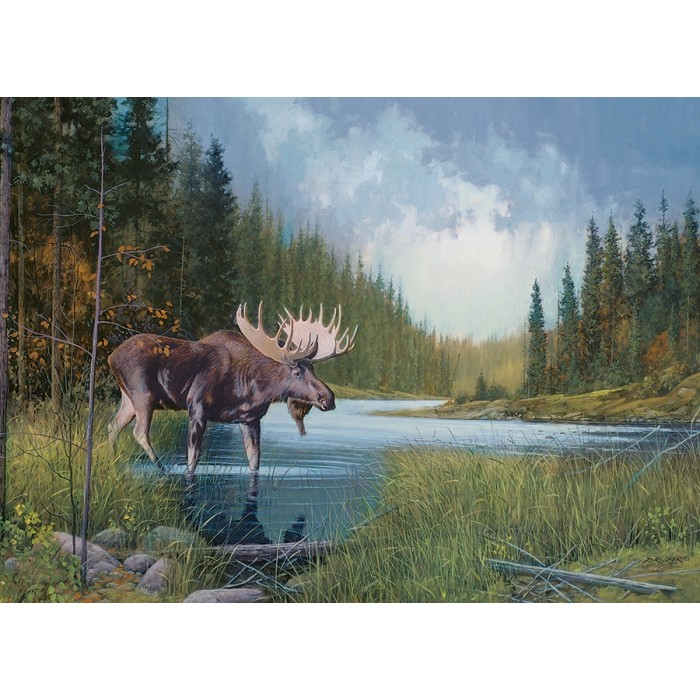 Puzzle Moose Lake