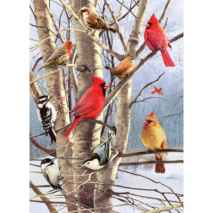 Puzzle Zimske ptice
