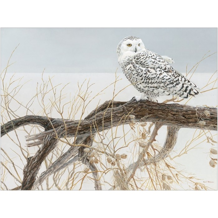 Puzzle XXL dijelovi - Fallen Willow Snowy Owl