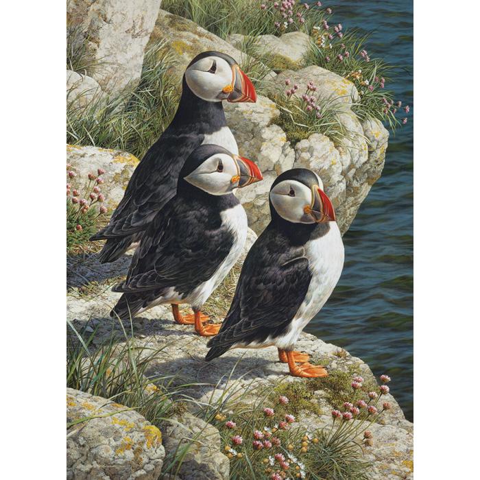 Puzzle Ribolovna područja
